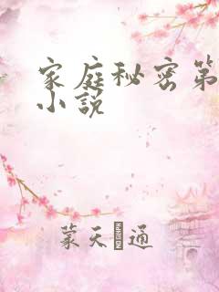 家庭秘密第3集小说