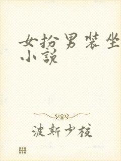 女扮男装坐江山小说