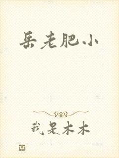 岳老肥小