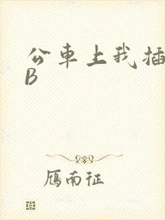 公车上我插上骚B