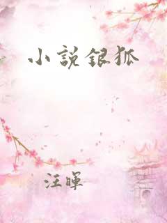 小说银狐