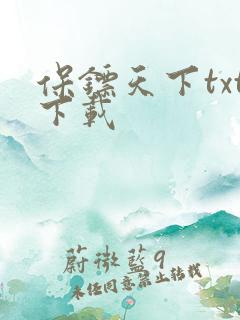 保镖天下txt下载