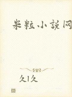 米粒小说网
