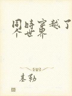 同时穿越了99个世界