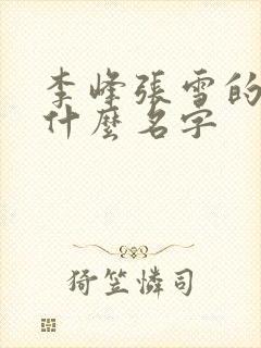 李峰张雪的书叫什么名字