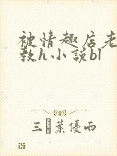 被情趣店老板调教h小说bl