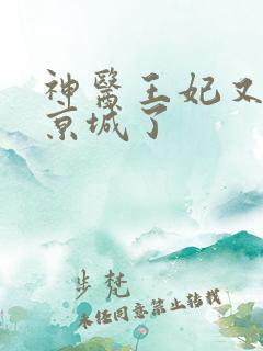 神医王妃又轰动京城了