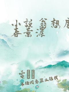 小说 翁想房中春意浓