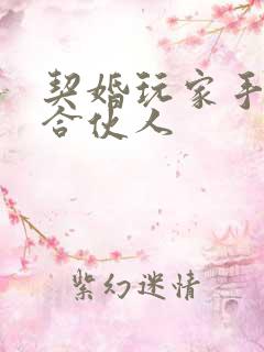 契婚玩家手册之合伙人