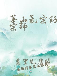 华山气宗的形意宗师