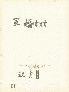 军婚txt