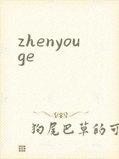 zhenyouge