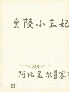 皇陵小王妃