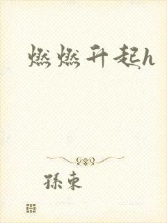 燃燃升起h