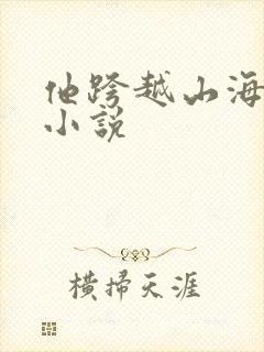 他跨越山海而来小说