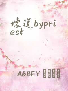 坏道bypriest