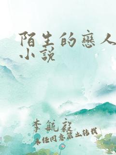 陌生的恋人原著小说