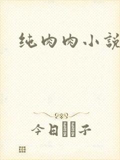 纯肉肉小说