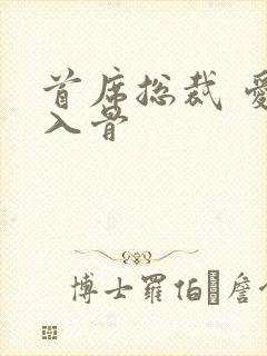 首席总裁 爱你入骨