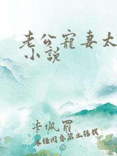 老公宠妻太甜蜜 小说