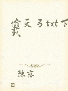 偷天弓txt下载