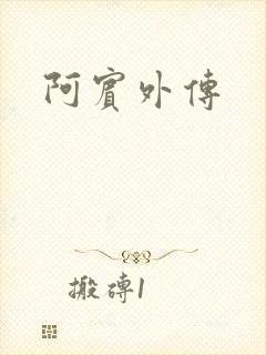 阿宾外传