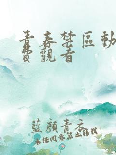 青春禁区动漫免费观看