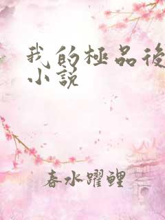 我的极品后宫 小说