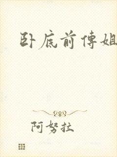 卧底前传姐妹篇