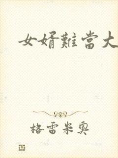 女婿难当大结局