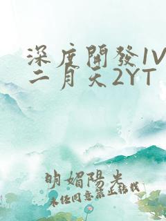 深度开发1V3二月天2YT