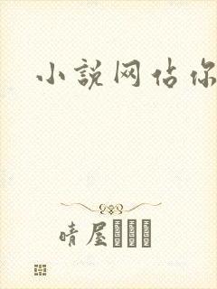 小说网站你懂的