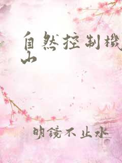 自然控制机器炎山