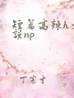 短篇高辣h文小说np