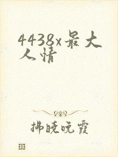 4438x最大人情