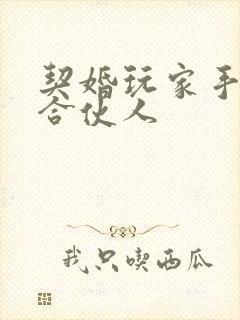 契婚玩家手册之合伙人