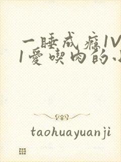 一睡成瘾1V 1爱吃肉的小丸子