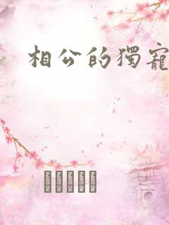 相公的独宠妻子