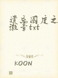 遗忘国度之神秘徽章txt