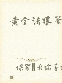 黄金法眼笔趣阁