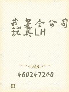 我是全公司发泄玩具LH