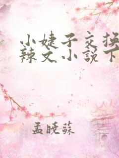 小婕子交换系列辣文小说下载