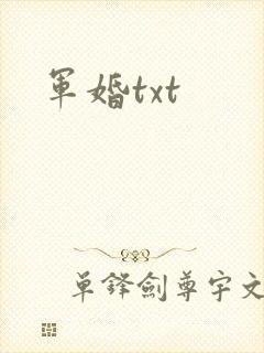 军婚txt