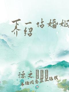 下一站婚姻剧情介绍