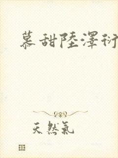 慕甜陆泽衍小说