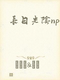 长日光阴np