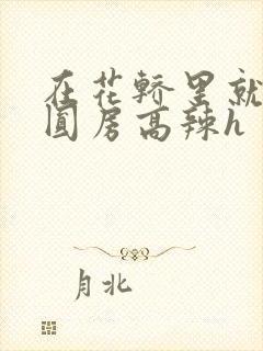 在花轿里就开始圆房高辣h