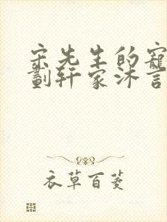 宋先生的宠妻计划轩家沐言