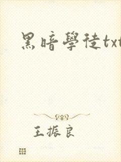黑暗学徒txt