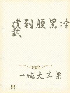 扑到腹黑冷面总裁